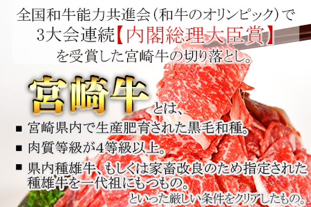 ＜宮崎牛 切り落とし 合計600g（200g×3）＞翌月末迄に順次出荷【 国産 牛 牛肉 黒毛和牛 切落し 贅沢 高級　お祝い 誕生日 特別 和牛 】
