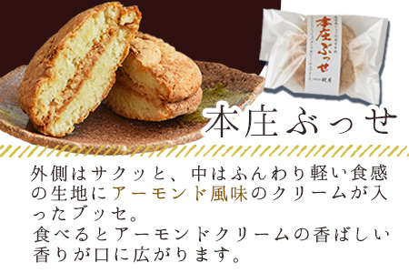 ＜本庄ぶっせ 5個 ＆ 本庄ショコラ 5個（合計10個）＞2か月以内に順次出荷【 お菓子 洋菓子 焼き菓子 焼菓子 チョコレート 手土産 おやつ スイーツ 間食 子供 こども 女子会 パーティー 】