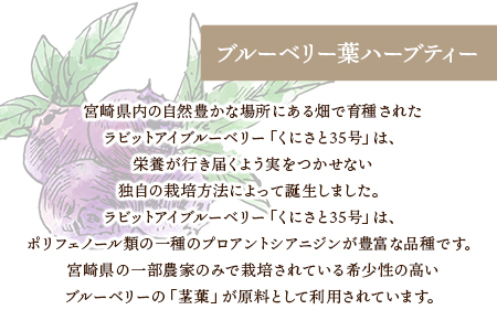 ＜ブルーベリー葉ハーブティー 35g 1瓶（宮崎県国富町「くにさと35号」使用）＞翌月末迄に順次出荷【 オーガニックマザーライフ ハーブティ 八重尾工房 ブルーベリー 】