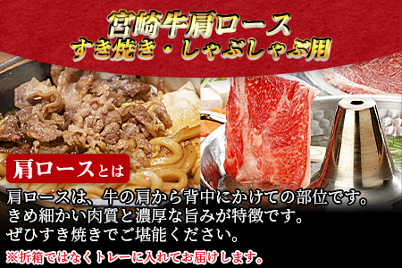 ＜宮崎牛肩ロース すき焼き・しゃぶしゃぶ用 500g＞翌月末迄に順次出荷【 牛 肉 牛肉 和牛 牛肉 黒毛和牛 牛肉 国産 牛肉 宮崎県産 牛肉 割り下 牛肉 エムツー 牛肉 すき焼き 牛肉 】