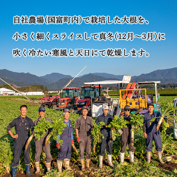 ★自社生産★＜切干大根　15袋セット(30g×15袋)＞【 せんぎり大根 千切り大根 切り干し大根 切干し大根 常備野菜 煮物 乾物 だいこん サラダ お味噌汁 】翌月末迄に順次出荷