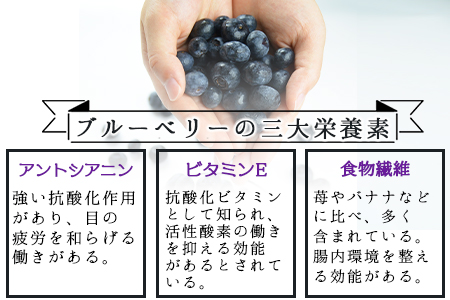 ★農園直送★＜冷凍ブルーベリー(500g×2袋)＞翌月末迄に順次出荷【 ブルーベリー フルーツ 果物 果実 シャーベット アイス お菓子作り 冷凍保存 八重尾工房 】