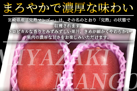 ★ANA限定★2026年発送★数量限定＜宮崎県産 完熟マンゴー B3Lサイズ×2玉＞2026年4月上旬～6月末迄に順次出荷【 ANA限定 ANAオリジナル マンゴー まんごー 完熟マンゴー 宮崎名物 マンゴー 数量限定 マンゴー 期間限定 マンゴー 果物 マンゴー フルーツ マンゴー スイーツ マンゴー マンゴー -】