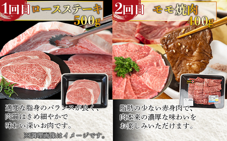 ★6か月定期便★牛肉 定期便 ステーキコース 入金確認後、1～3か月以内に第１回目発送