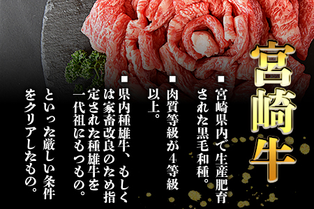 ★すきしゃぶ用 牛肉★＜宮崎牛 外モモ 赤身 スライス 500g+100g（合計600g）＞翌月末迄に順次出荷【 牛 肉 牛肉 和牛 黒毛和牛 モモ すき焼き   しゃぶしゃぶ すきしゃぶ --】