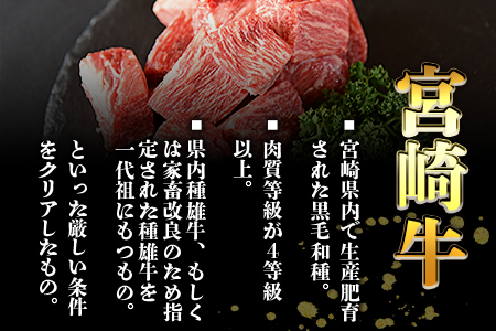 ★訳あり★＜宮崎牛 赤身 サイコロステーキ 500g＞翌月末迄に順次出荷【 訳あり 牛 肉 牛肉 宮崎牛肉 和牛肉 黒毛和牛肉 サイコロステーキ ステーキ 訳あり】