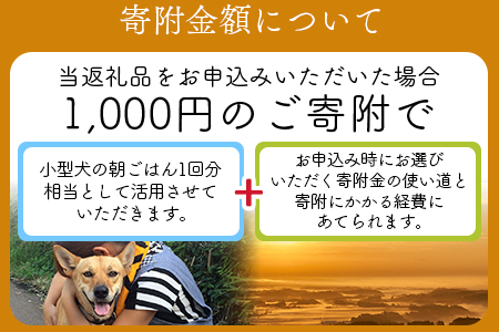 ＜保健所犬猫レスキュー【返礼品なしのご寄附】＞【 動物愛護 愛護活動 保護 犬 猫 いぬ ねこ イヌ ネコ 動物 どうぶつ ペット 応援 支援 寄付 使い道 寄附のみ いのちのはうす保護家 】 1,000円