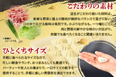 ★定期便4回★＜手づくり 一口餃子 120個入り（3か月に1回発送）＞翌月末迄に第一回目を出荷【 餃子 ぎょうざ ギョウザ ギョーザ 宮崎餃子 一口餃子 大明神 鶏肉 豚肉 野菜 餃子大容量 -】 120個　4回定期便　156,000円