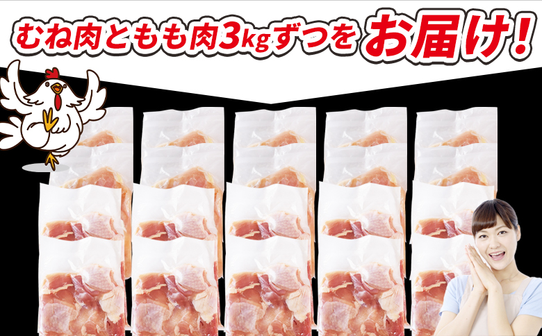 ＜宮崎県産若鶏切身 6kg（むね肉 300g×10袋 もも肉 300g×10袋）＞ 翌々月までに順次出荷 【 セット 詰め合わせ からあげ 唐揚げ カレー シチュー BBQ 煮物 チキン南蛮 小分け おかず おつまみ お弁当 惣菜 時短 炒め物 簡単料理 市場食鳥 国富町 宮崎県】 6kg（むね肉 300g×10袋 もも肉 300g×10袋）\23,000