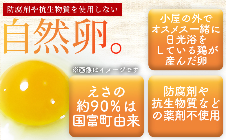 ＜自然農園「こころ」の平飼い『ありがとう卵』20個（10個×2パック）＞ 3か月以内に順次出荷【 卵 たまご タマゴ　生卵 ゆでたまご ゆで卵 卵焼き 玉子焼き オムレツ 親子丼 たまごかけご飯 たまごかけごはん 卵かけご飯 有精卵 平飼い 】 20個