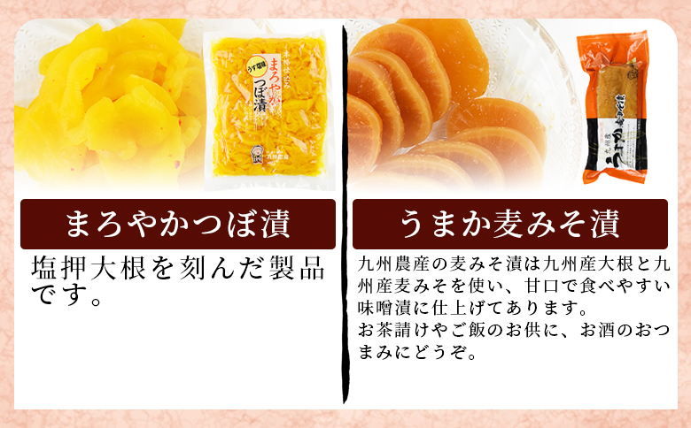 ＜漬物詰め合わせ 10種セット＞翌月末迄に順次出荷【 漬け物 詰め合わせ 食べ比べ セット 加工品 国産 沢庵 たくあん 大根 しそ味 ごはん ご飯のお供 お茶漬け 付け合わせ 】 10種類セット