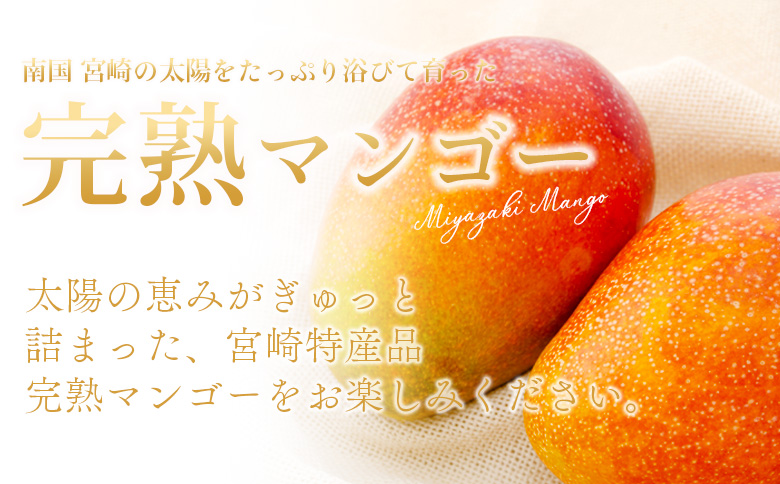 【先行予約 2026年発送】<宮崎県産 完熟マンゴー 2L 合計2玉＞入金確認後、2026年5月初旬～7月末迄に順次出荷 【 選べる 大きさ サイズ 国産 かんじゅく とろける 果物 果実 フルーツ 南国 芳醇 甘い 旬 濃厚 贈り物 プレゼント（株）ワールドワイドトレード 宮崎県 国富町 】 【2L×2玉】　17,000円