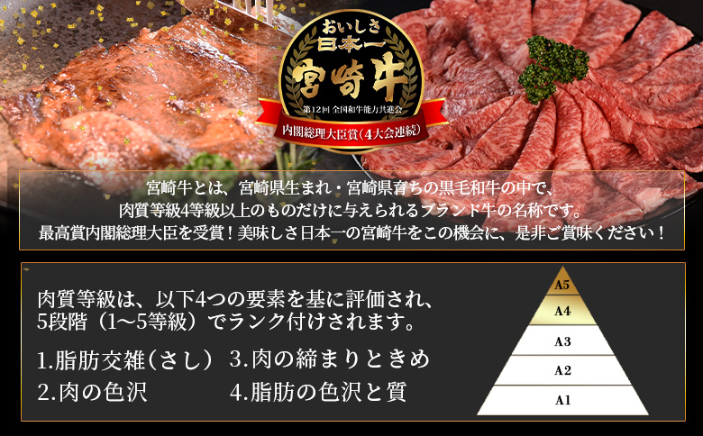 ＜宮崎牛 切落し焼肉1kg（500g×2）＞入金確認後、1～3か月以内に順次出荷【国産 黒毛和牛 牛肉 牛 精肉 赤身 ブランド牛 ちょっと豪華 毎日の食卓 プチ贅沢 ご褒美 旨味 普段使い 焼き肉 形 大きさ 不揃い 切り落とし やきにく 焼くだけ ミヤチク 宮崎県 】【b0986_my】
