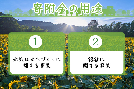 ＜寄附のみの応援受付(返礼品はございません)＞寄附額1,000円【 応援 寄附 未来 地域支援 おすすめ 1000円 国富町 宮崎県国富町 】
