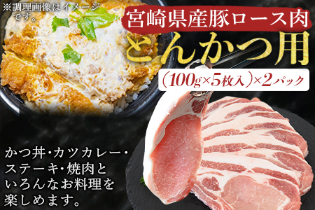 ＜宮崎県産 豚肉  とんかつ用 セット（ロース・ヒレ）合計2.0kg＞翌月末迄に順次出荷【 豚 肉 豚肉 ロース ひれ とんかつ 】