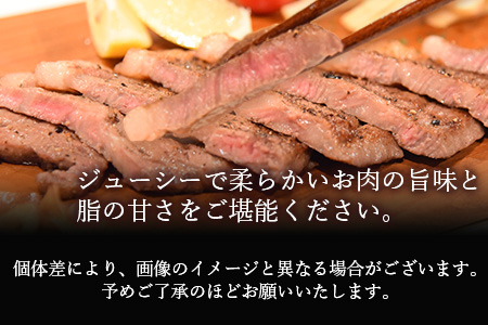 ＜宮崎牛 サーロインステーキ 250g×2枚＞翌月末迄に順次出荷【 国産 牛 牛肉 黒毛和牛 ステーキ 贅沢 高級　お祝い 誕生日 特別 和牛 】