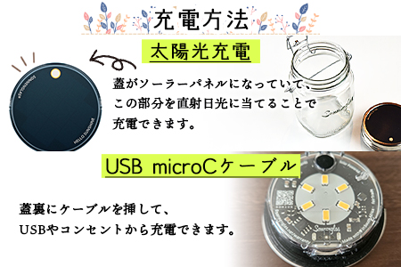 ＜ボタニカルアート ソネングラス＞翌月末迄に順次出荷【 インテリア ライト 飾り かわいい プレゼント 贈り物 ソーラー 雑貨 アウトドア 出産祝い 】