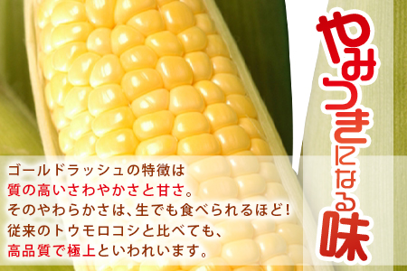 予約受付！＜朝採れ！国富町産ゴールドラッシュ4.5Kg3Lサイズ11本＞2026年5月下旬～7月上旬迄に順次出荷【 とうもろこし スイートコーン 先行予約 野菜 穀物 甘い トウモロコシ 数量限定 】