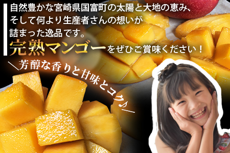 <宮崎県産完熟マンゴー 3L×1玉>2026年3月下旬～6月下旬迄に順次出荷【 期間限定 フルーツ 果物  】[A0593]