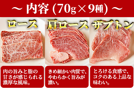 ＜宮崎牛焼肉9種盛（約630g）＞翌月末迄に順次出荷【 牛 肉 牛肉 和牛 黒毛和牛 焼肉 BBQ 赤身 ロース 肩ロース ザブトン 】
