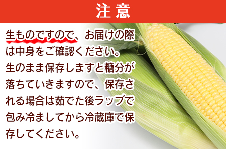 ★2026年発送★期間限定＜宮崎県産 スイートコーン 約4.5kg＞2026年5月下旬～6月中旬迄に順次出荷【 先行予約 穀物 野菜 甘い 季節限定 とうもろこし おやつ ご飯 スープ サラダ BBQ 】