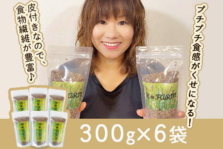 ★農家直送★＜皮付きもち麦(ダイシモチ）300g×6袋＞翌月末迄に順次出荷【 むぎ 麦 ご飯 米 お米 プチプチ ライス 】