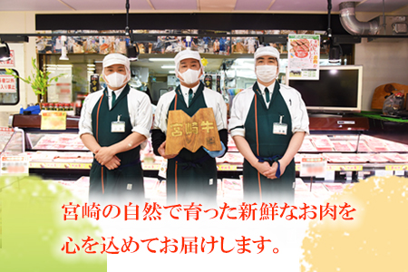 ＜豚肉 鶏肉 のバラエティセット（重量約3kg）＞翌月末迄に順次出荷【 肉 豚 鶏 若鶏 豚鶏 鶏豚 焼肉 BBQ とんかつ 唐揚げ 生姜焼き こま切れ みそ漬け 】