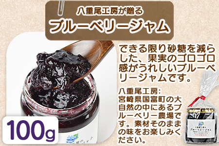 ★パン屋直送★＜ベーグル プレーン 5個 ＋ ブルーベリージャム＞翌月末迄に順次出荷【 パン 朝食 モーニング 昼食 ランチ サンドイッチ 】