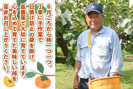 数量限定！予約受付！＜国富町産 富有柿 3L×12個＞2025年11月中旬から12月中旬頃に順次出荷