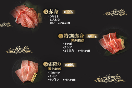 ＜宮崎牛特選食べ比べ6点盛り 合計約600g (約100g×6種)＞2か月以内に順次出荷【 国産 牛 牛肉 贅沢 お祝い 誕生日 黒毛和牛 ロース バラ 霜降り セット 食べ比べ 】