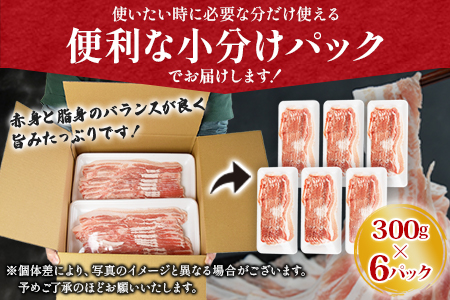 ★数量限定 豚肉★＼累計24,000パック突破！／＜宮崎県産豚バラスライス 合計1.8kg（300g×6）＞2026年1月に順次出荷 【 豚 肉 豚肉 スライス 豚肉 薄切り 豚肉 小分け 豚肉 普段使い 豚肉 国富町ザベストテン 豚肉 -】