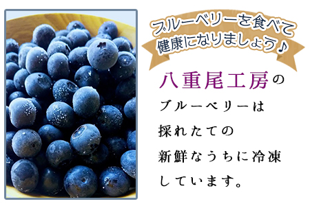 ★農園直送★＜冷凍ブルーベリー(500g×2袋)＞翌月末迄に順次出荷【 ブルーベリー フルーツ 果物 果実 シャーベット アイス お菓子作り 冷凍保存 八重尾工房 】