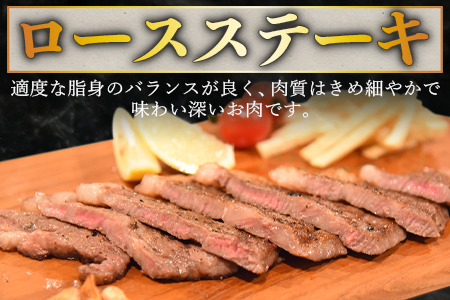 【期間限定】＜宮崎牛ロースステーキ 2枚 合計500g＞入金確認後、1～3か月以内に順次出荷【肉 牛肉 ステーキ 宮崎牛 国産牛 ブランド牛 ロース ミヤチク【b0374_my_ouen-x1】 【250g×2枚】21,000円
