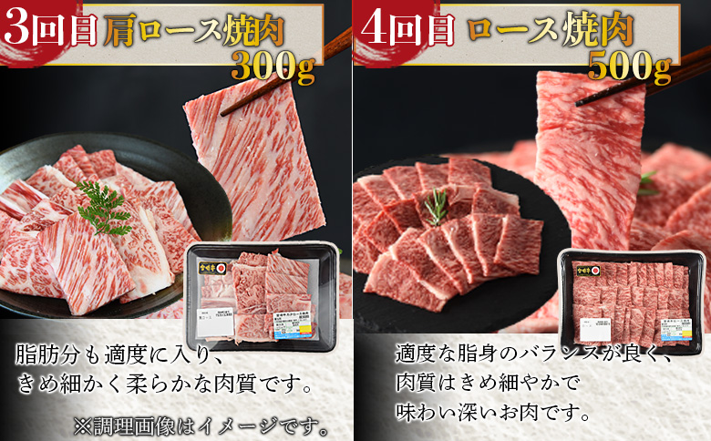 ★6か月定期便★牛肉 定期便 ステーキコース 入金確認後、1～3か月以内に第１回目発送
