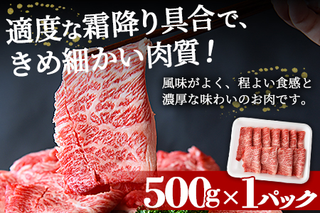 ＜宮崎牛肩ローススライス 500g＞翌々月末迄に順次出荷【 牛 肉 牛肉 和 牛肉 黒毛和牛肉 しゃぶしゃぶ 牛肉 すきやき 牛肉 スキヤキ 牛肉 ご褒美 牛肉 贅沢 牛肉 鍋 牛肉 --】
