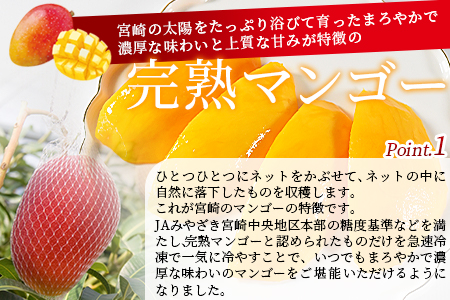 ★カット済★＜ＪＡみやざき宮崎中央地区本部管内産 宮崎県産 冷凍マンゴー 約270g＞翌月末迄に順次出荷【 マンゴー デザート 贅沢 果実 果物 アイス シャーベット スムージー 小分け ゼリー フルーツ 南国 -】
