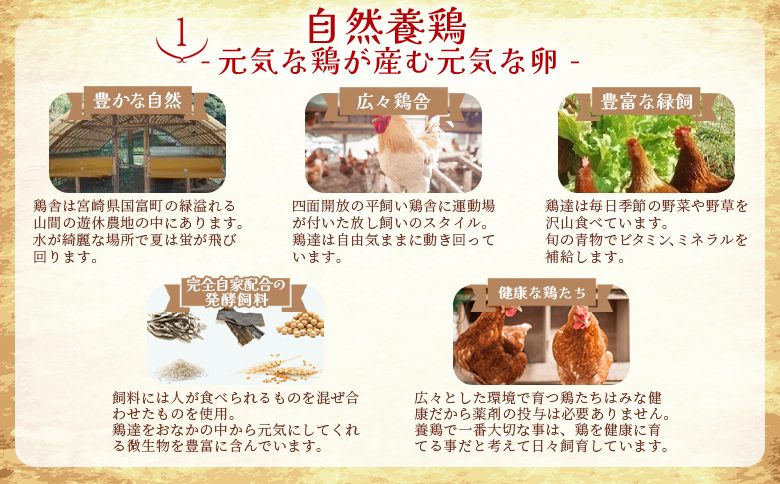 ＜シフォンケーキ4種セット 計8個（4種類×2個）＞翌月末迄に順次出荷【 ケーキ 洋菓子 焼き菓子 お菓子 スイーツ セット 自然卵 無農薬 有機栽培 マーブルココア バナナ アールグレイ 】