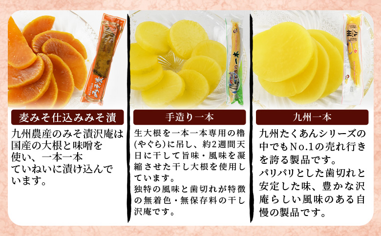 ＜漬物詰め合わせ 10種セット＞翌月末迄に順次出荷【 漬け物 詰め合わせ 食べ比べ セット 加工品 国産 沢庵 たくあん 大根 しそ味 ごはん ご飯のお供 お茶漬け 付け合わせ 】 10種類セット