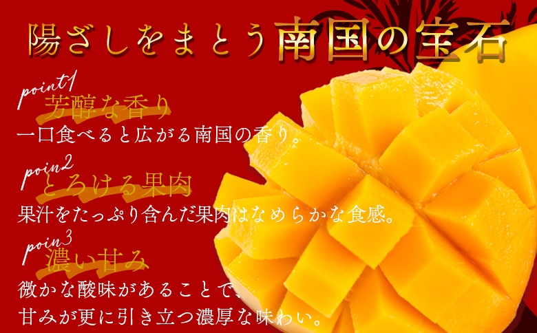 【先行予約 2026年発送】<宮崎県産 完熟マンゴー 3L 合計2玉＞入金確認後、2026年5月初旬～7月末迄に順次出荷【  選べる 大きさ サイズ 国産 かんじゅく とろける 果物 果実 フルーツ 南国 芳醇 甘い 旬 濃厚 贈り物 プレゼント（株）ワールドワイドトレード 宮崎県 国富町 】 【3L×2玉】19,000円
