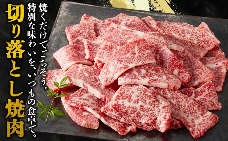 ＜宮崎牛 切落し焼肉1kg（500g×2）＞入金確認後、1～3か月以内に順次出荷【国産 黒毛和牛 牛肉 牛 精肉 赤身 ブランド牛 ちょっと豪華 毎日の食卓 プチ贅沢 ご褒美 旨味 普段使い 焼き肉 形 大きさ 不揃い 切り落とし やきにく 焼くだけ ミヤチク 宮崎県 】【b0986_my】