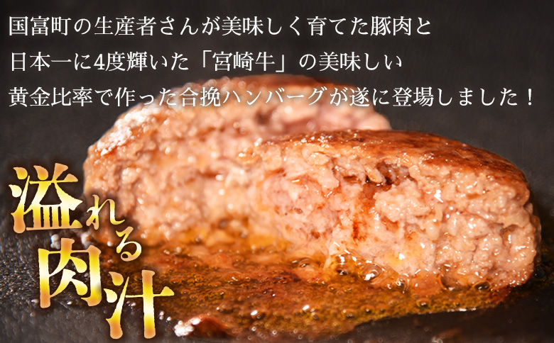 ＜絶品合挽ハンバーグ 6個＞入金確認後、翌月末迄に順次出荷 ソース付き【国富産 豚肉 宮崎牛 ブランド牛 合いびき 合い挽き 160g ぶたにく 牛肉 おかず 一品 焼くだけ 簡単調理 お弁当 お取り寄せ おとりよせ グルメ 贈り物 ご家庭用】