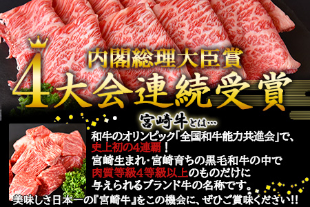 ＜宮崎牛 サーロインステーキ 250g×2枚＞翌月末迄に順次出荷【 国産 牛 牛肉 黒毛和牛 ステーキ 贅沢 高級　お祝い 誕生日 特別 和牛 】