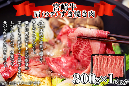 ＜宮崎牛 サーロインステーキ ＆ 宮崎牛 肩（ウデ） すき焼き 肉セット 合計500g＞翌月末迄に順次出荷【 牛 肉 牛肉 和牛 黒毛和牛 焼肉 BBQ 】