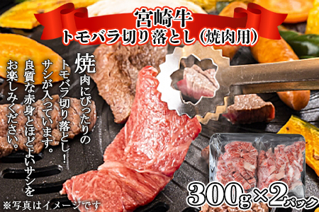 ＜宮崎牛 サイコロステーキ ＆ 宮崎牛 トモバラ 切落とし（焼肉）合計1.0kg＞翌月末迄に順次出荷【 牛 肉 牛肉 和牛 黒毛和牛 焼肉 BBQ 】