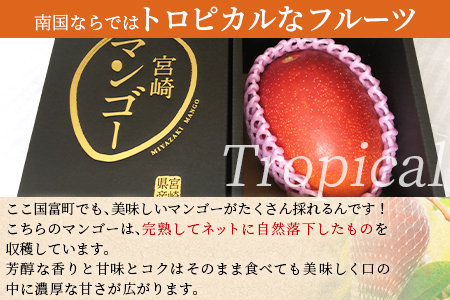<宮崎県産完熟マンゴー 3L×1玉>2026年3月下旬～6月下旬迄に順次出荷【 期間限定 フルーツ 果物  】[A0593]