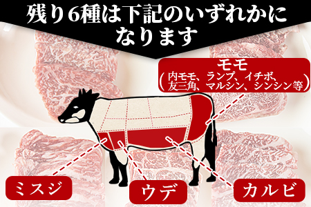 ＜宮崎牛焼肉9種盛（約630g）＞翌月末迄に順次出荷【 牛 肉 牛肉 和牛 黒毛和牛 焼肉 BBQ 赤身 ロース 肩ロース ザブトン 】