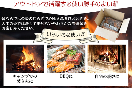 ＜家庭用 スウェーデントーチ 1本+薪 約5本セット（ジェルタイプ着火剤付き）＞翌月末迄に順次出荷【 焚き火 たき火 焚火 キャンプ 薪 暖炉 送料無料 】