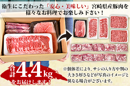 ★大容量 豚肉★＜宮崎県産 豚肉 バラエティーセット4.4kg＞翌月末迄に順次出荷【 肉 豚 豚肉 しゃぶしゃぶ 豚肉 すき焼き 豚肉 すきしゃぶ 豚肉 ロース 豚肉 ミンチ 豚肉 切り落とし 豚肉 小分け 豚肉 豚ロース 豚肉 豚モモスライス 豚肉 -】