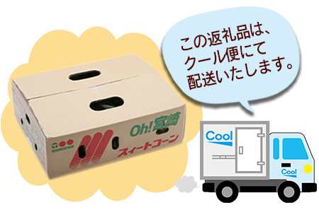 期間限定！予約受付！＜宮崎県産 スイートコーン 約4.5kg＞2025年5月下旬～6月中旬迄に順次出荷【 先行予約 穀物 野菜 甘い 季節限定  とうもろこし おやつ ご飯 スープ サラダ BBQ 】: 国富町ANAのふるさと納税