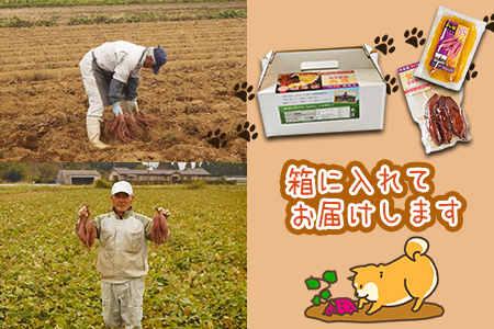 ★常温保存★農福連携★＜蜜芋 国富金時セット (蜜芋400g×10＋干し芋150g×6)＞翌月末迄に順次出荷【 農福連携 芋 いも イモ サツマイモ さつまいも 甘藷 かんしょ 焼き芋 焼芋 焼いも スイーツ 原農園 農福連携 】